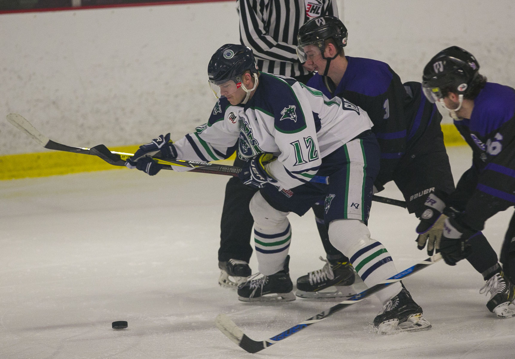 Hockey Bulls vs. Wausau 1